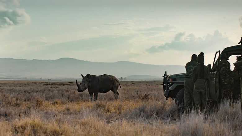 Rhino backdrop 8