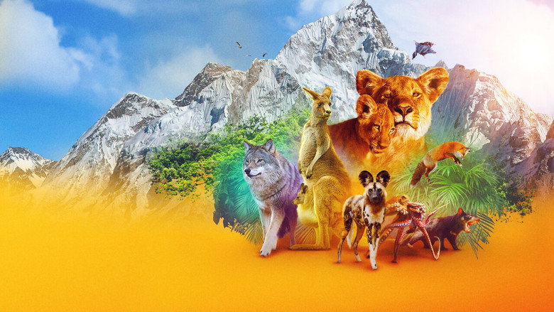 Animal backdrop 3