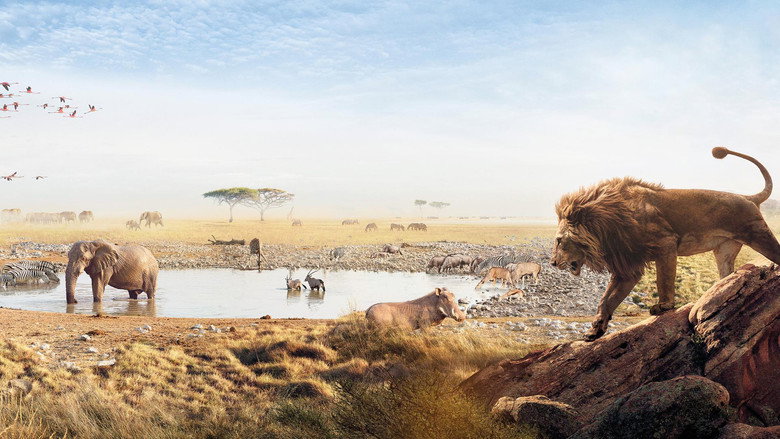 Serengeti backdrop 7