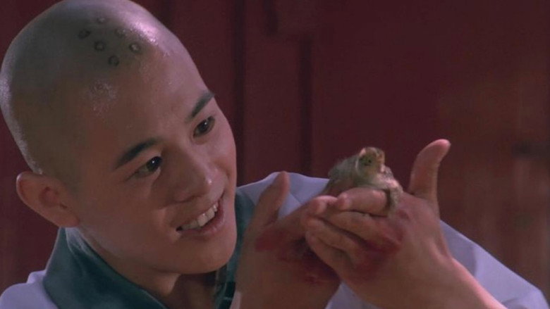 Martial Arts of Shaolin backdrop 2