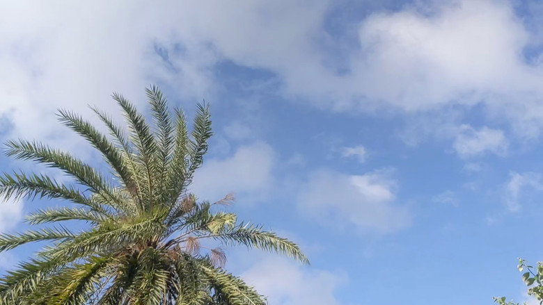 The Sky Is A Sea backdrop 1
