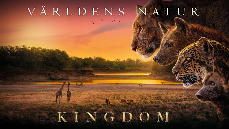 Kingdom backdrop 6
