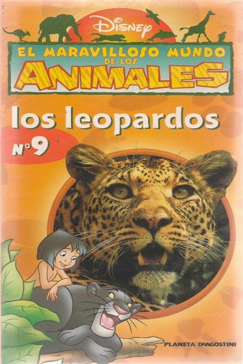 The Wonderful World of Animals