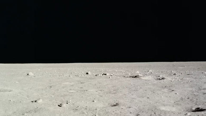 Magnificent Desolation