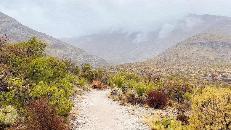 Guadalupe Mountains