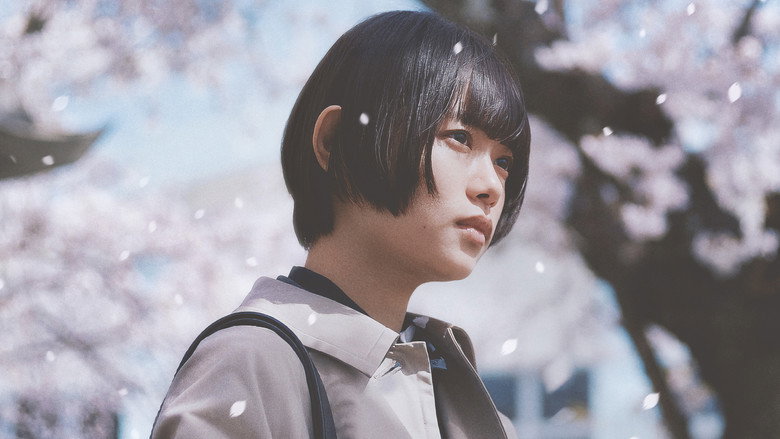 Sakura backdrop 4