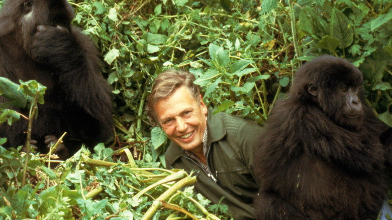 Making Life on Earth: Attenborough’s Greatest Adventure backdrop 6