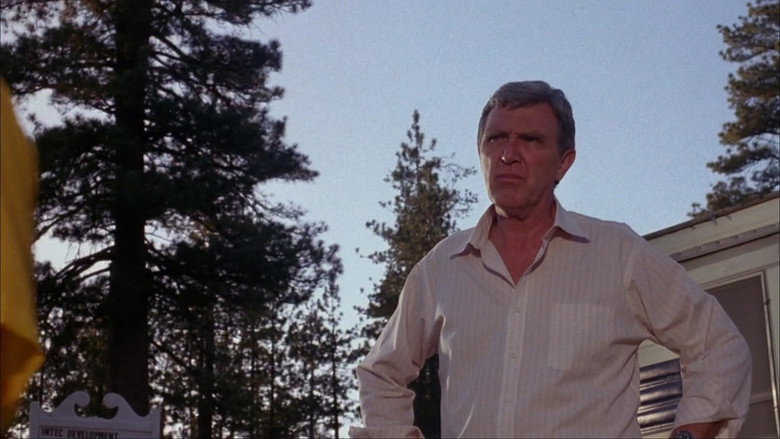 The Nest backdrop 5