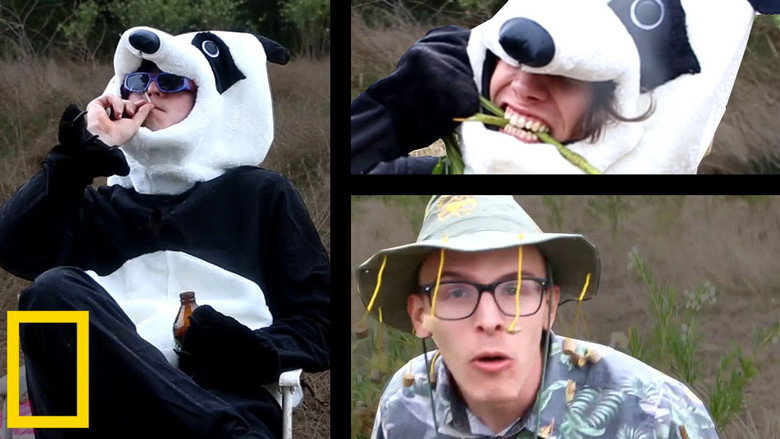Giant Panda Mating Season ｜ Wildlife Documentary