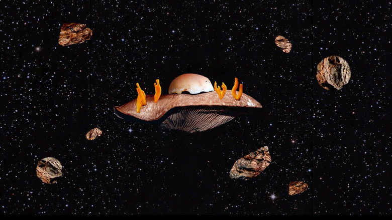 Empire fongique backdrop 1
