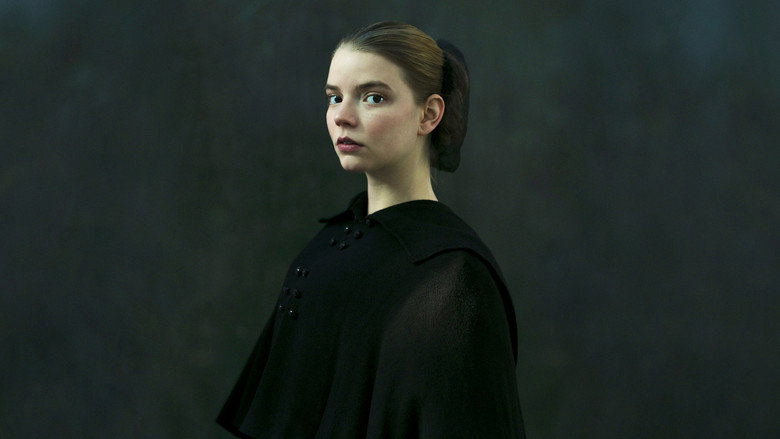 The Miniaturist backdrop 5