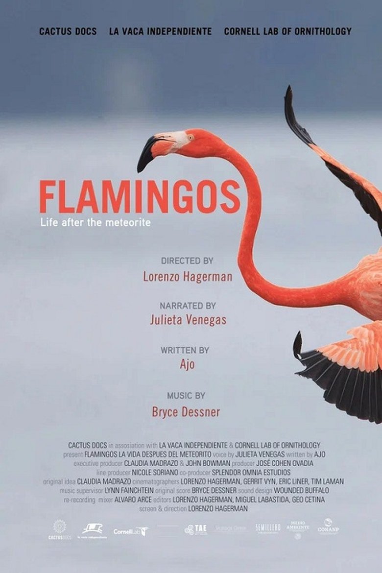 Flamingos: Life After the Meteorite