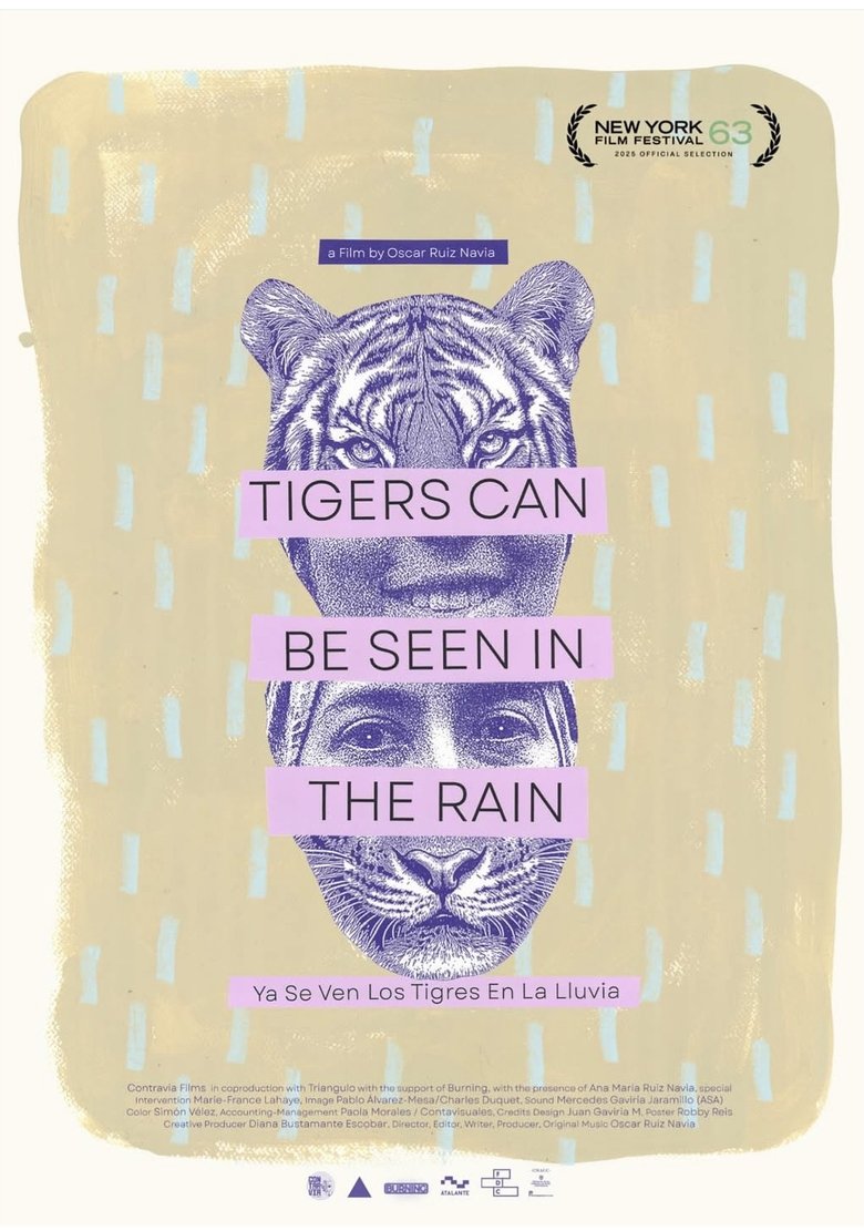 Tigers Can Be Seen In The Rain