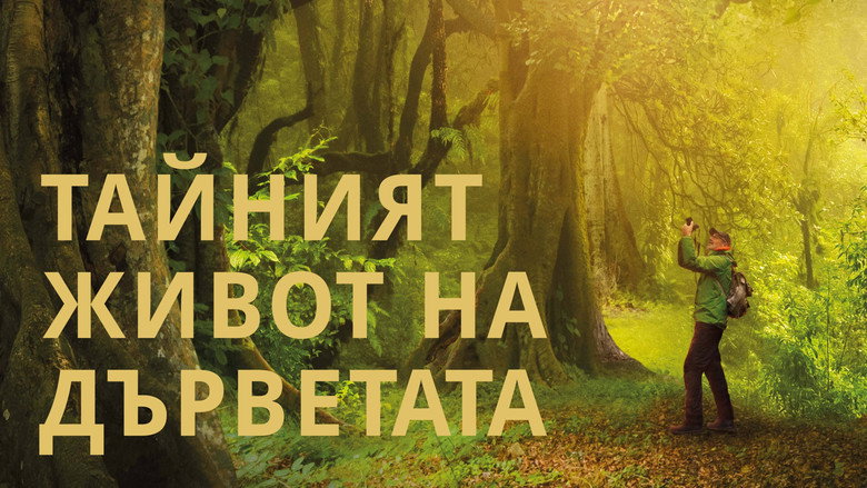 The Hidden Life of Trees backdrop 9