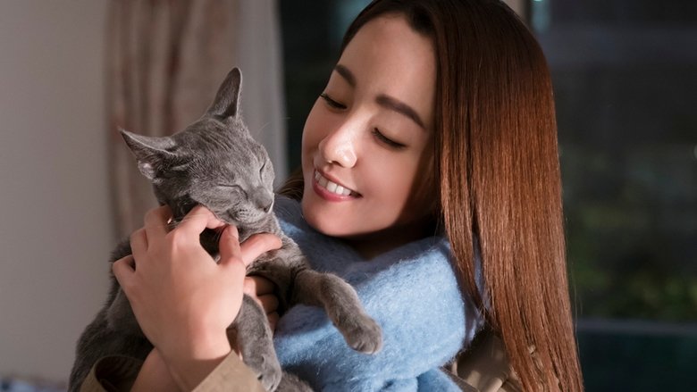 猫は抱くもの線上电影看完整版