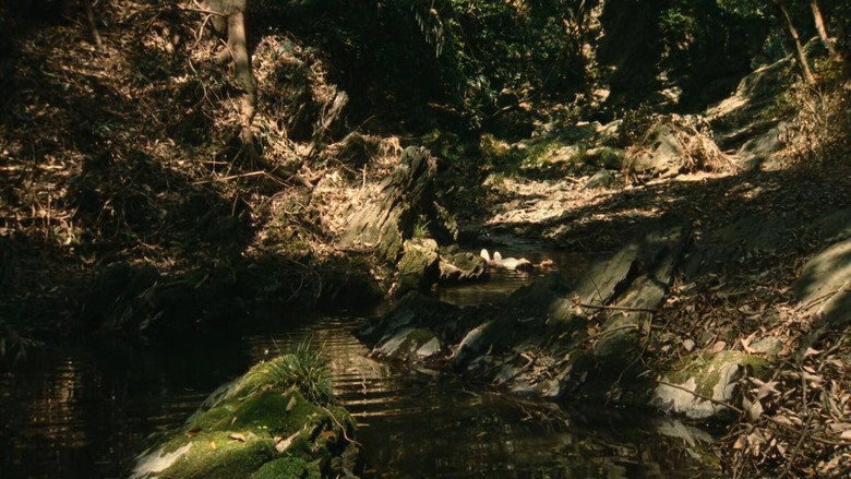 Fatal Frame backdrop 9