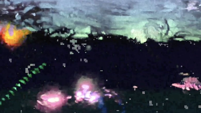 Digital Smoke