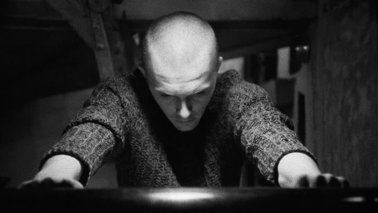 Constantin Vaeni