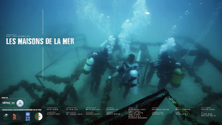 Les Maisons De La Mer backdrop 1