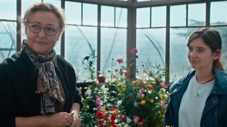 The Rose Maker backdrop 7