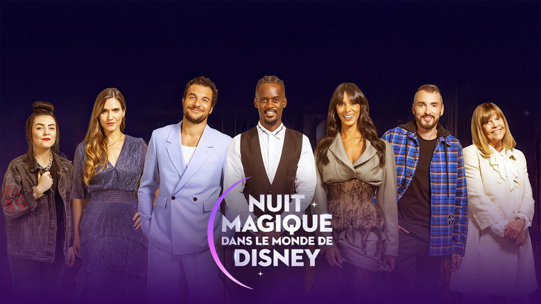 Magical Night in Disney World backdrop 5