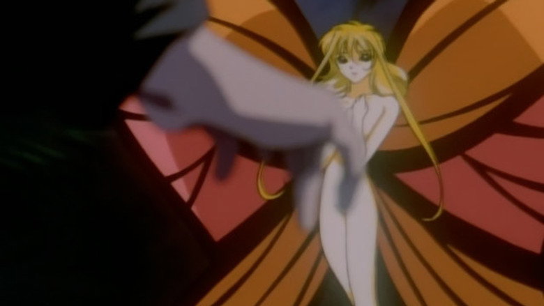 Butterfly Enchantment