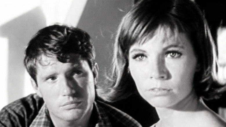 Episode #2.21 (pp-135)