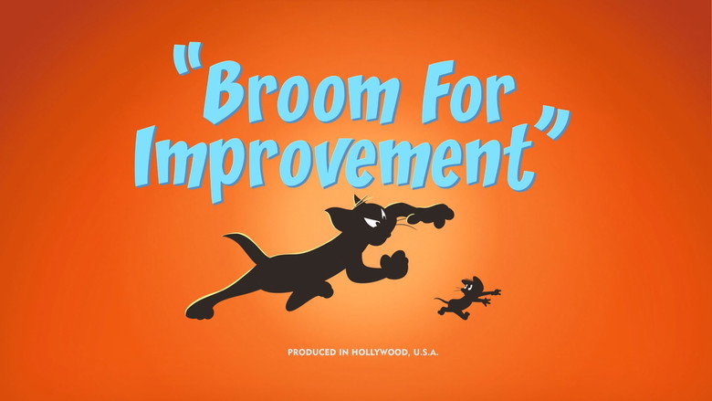 Broom for Improvement