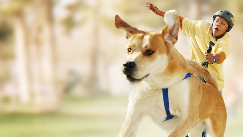 Life Is Ruff backdrop 2