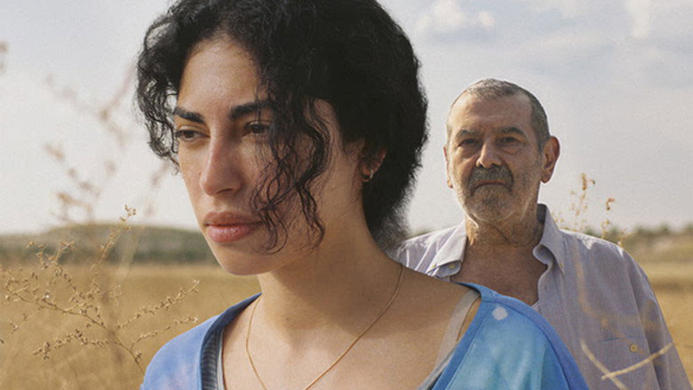 La Tierra de Amira backdrop 1