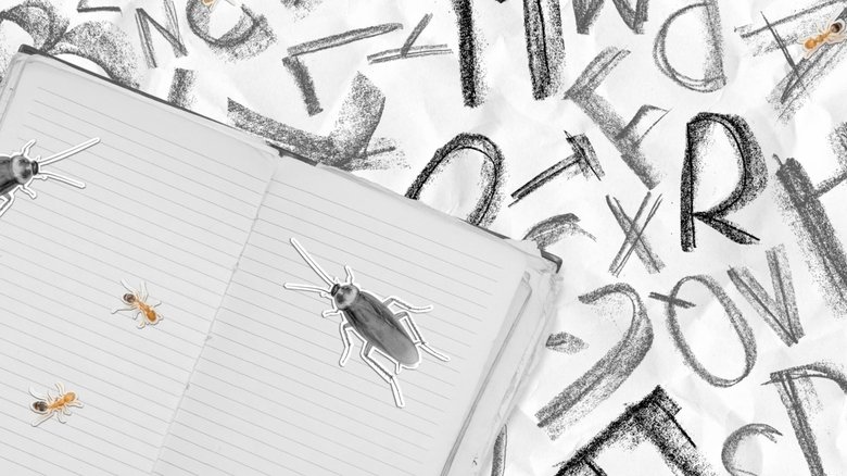 Insecticide