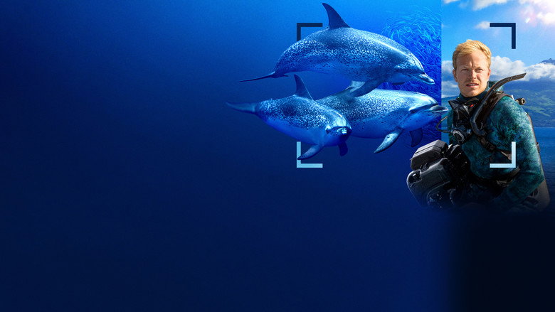 Dolphins Up Close with Bertie Gregory backdrop 5