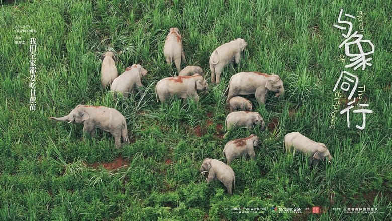March of the Elephants