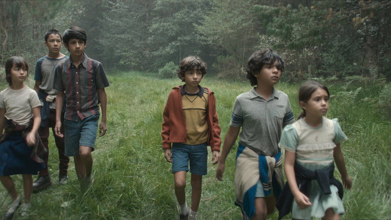 The Hazy Forest