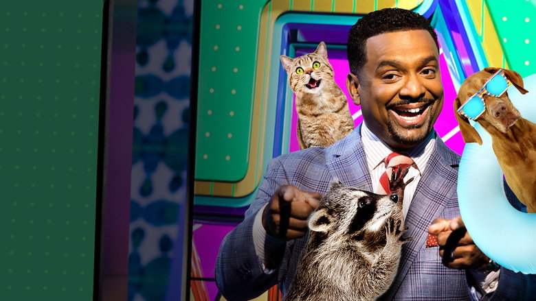 America's Funniest Home Videos: Animal Edition backdrop 2