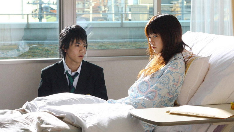 Gymnasium Baby backdrop 5
