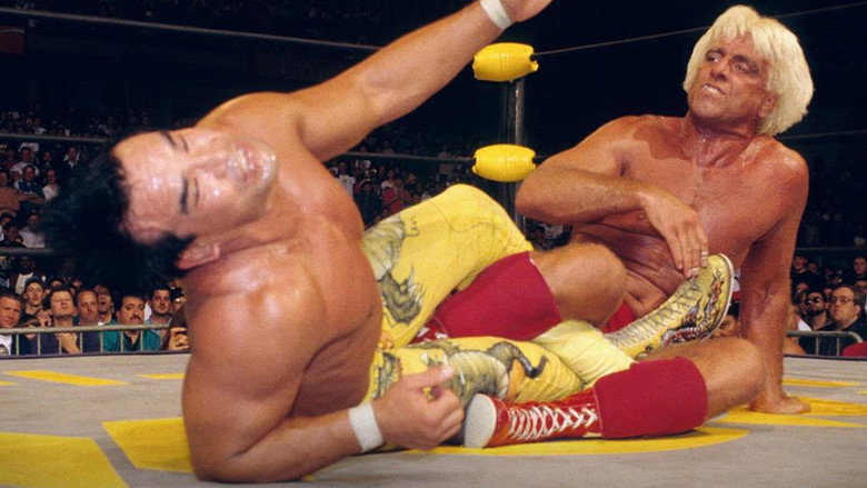 WCW Spring Stampede 1994 backdrop 2
