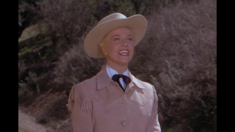 Calamity Jane backdrop 5