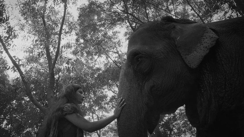 The Blind Girl and an Elephant backdrop 4