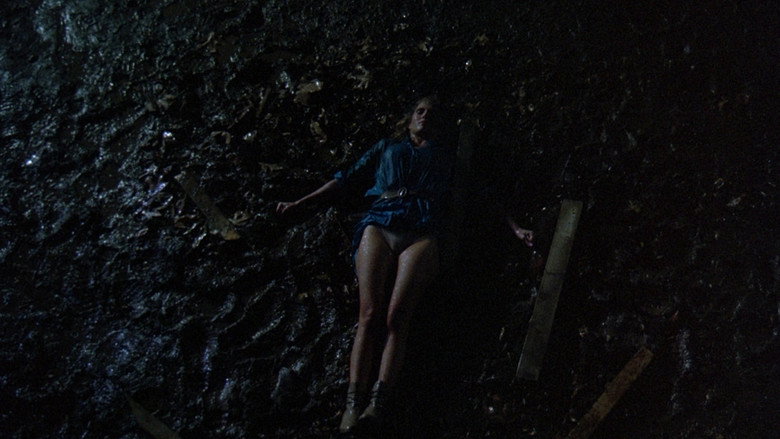 Friday the 13th: The Final Chapter backdrop 9