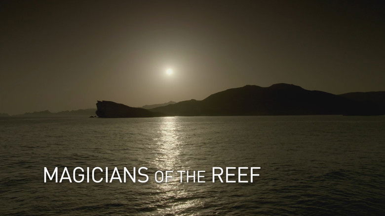 Magicians of the Reef