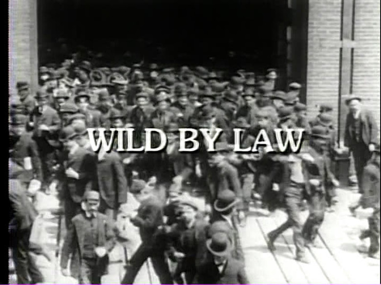 Wild by Law