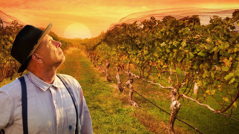 From the Vine backdrop 2