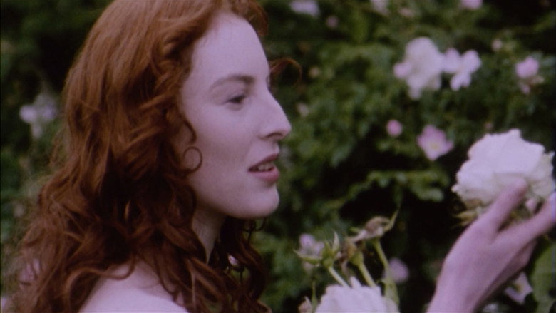 Belle de Nature backdrop 3