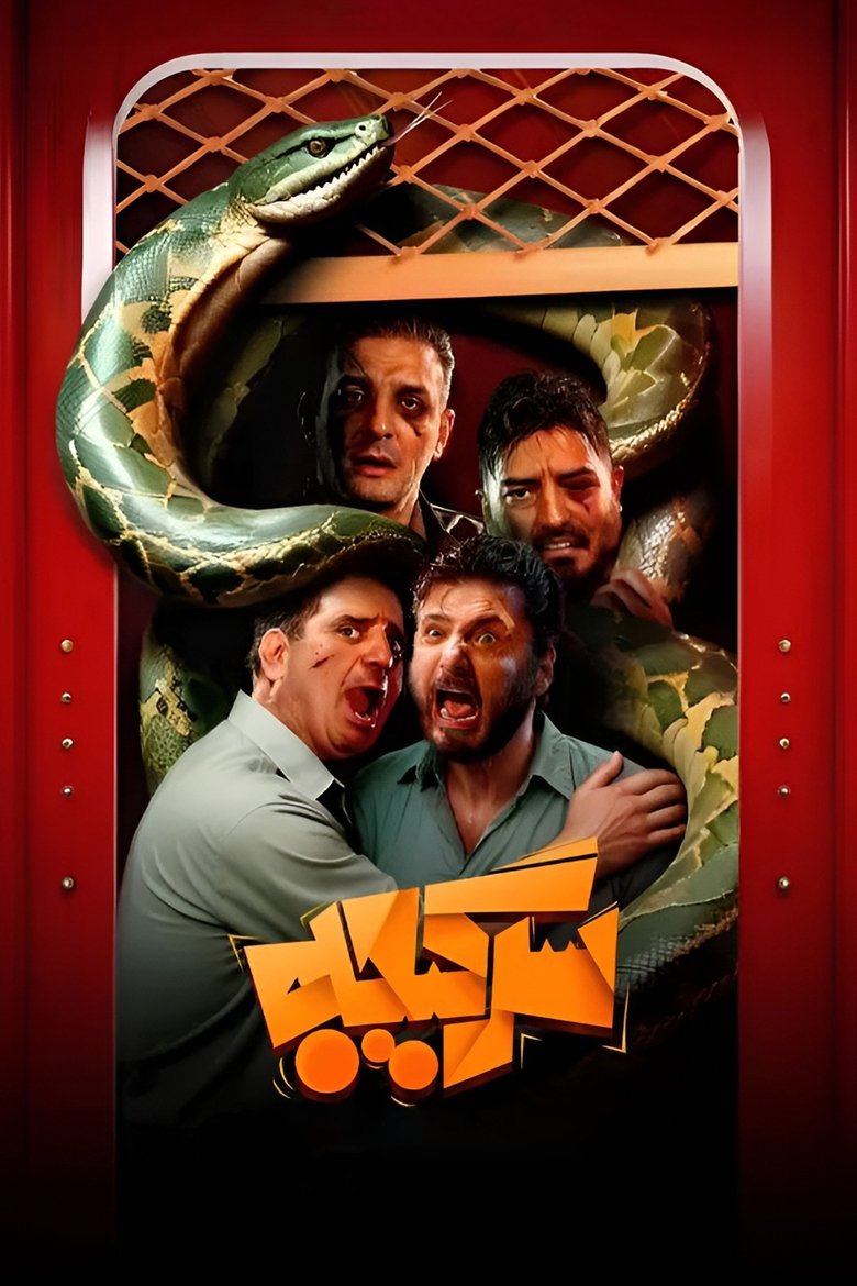 Show Poster