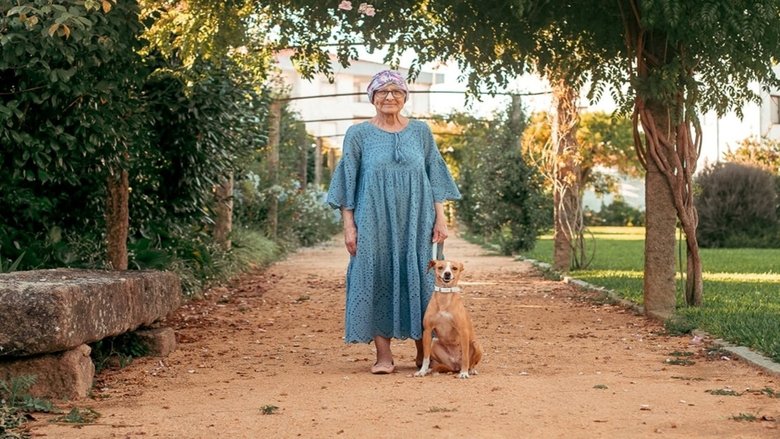 Veterinários Todo-o-Terreno