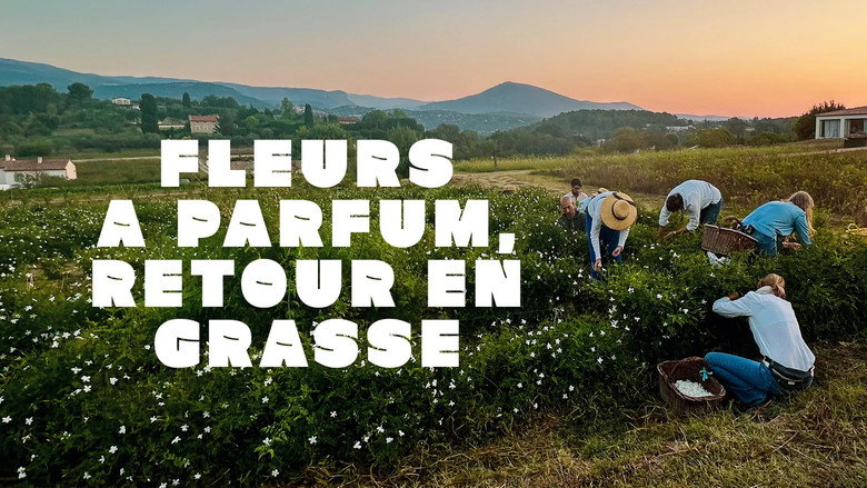 Fleurs à parfum, retour en Grasse backdrop 6