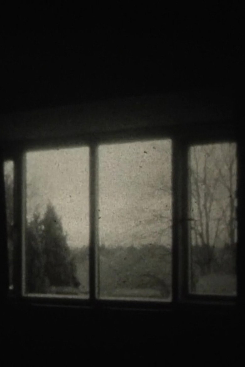 My Window
