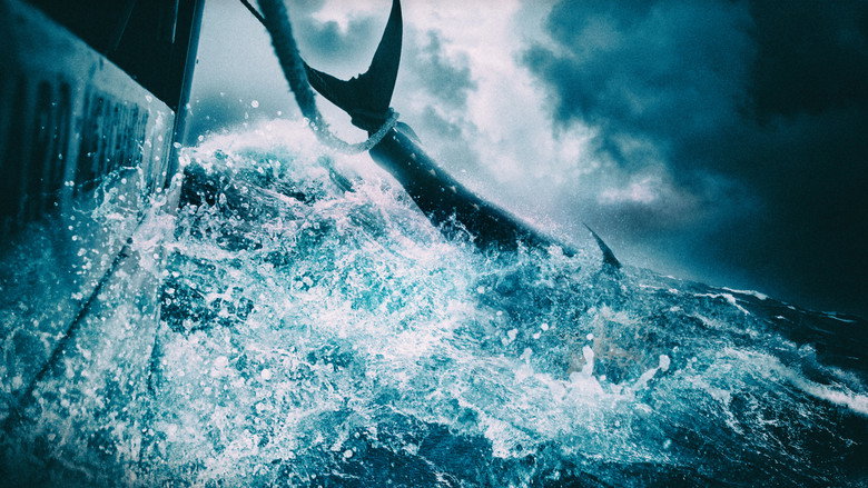 Wicked Tuna backdrop 3