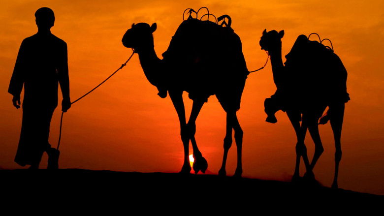 History Got It Wrong